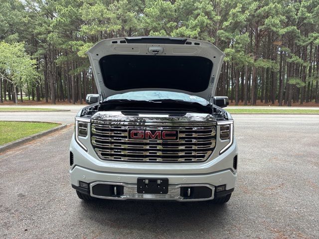 2025 GMC Sierra 1500 4WD Crew Cab 147" Denali - 23024910 - 17