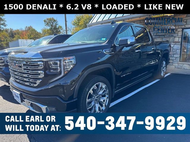 2025 GMC Sierra 1500 Denali - 22930173 - 0
