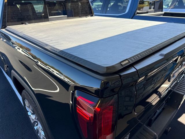 2025 GMC Sierra 1500 Denali - 22930173 - 3