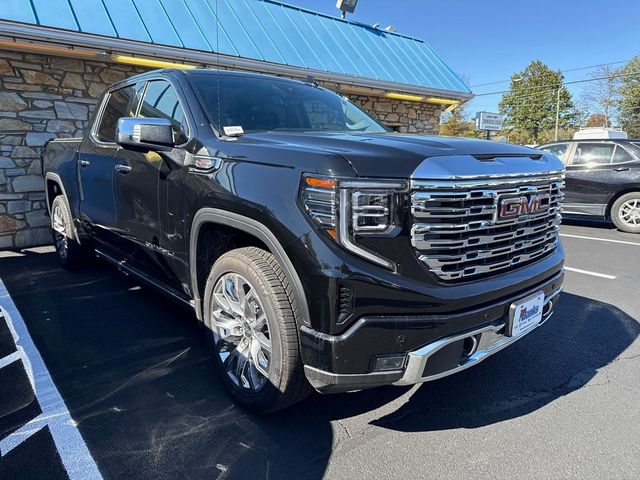 2025 GMC Sierra 1500 Denali - 22930173 - 5