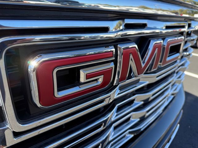 2025 GMC Sierra 1500 Denali - 22930173 - 7