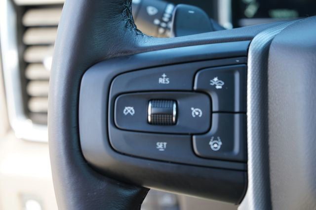 2025 GMC Sierra 1500 Denali - 23077203 - 14