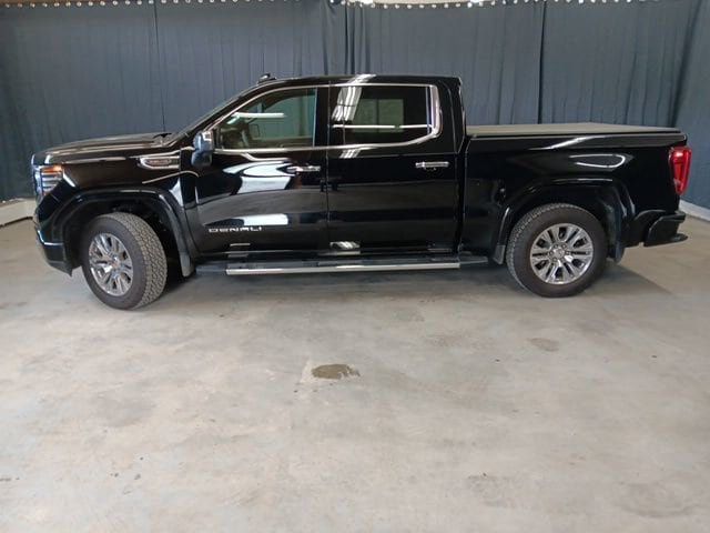 2025 GMC Sierra 1500 Denali - 23077203 - 3