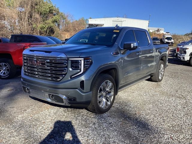 2025 GMC Sierra 1500 Denali - 22969136 - 2