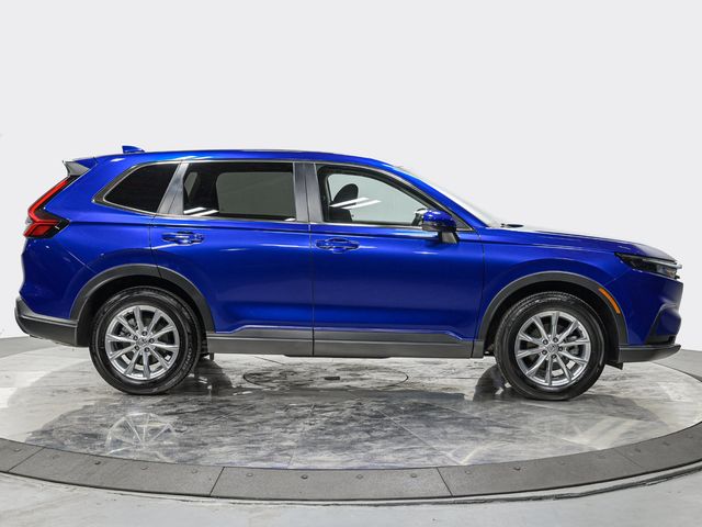 2025 Honda CR-V EX - 23087993 - 7