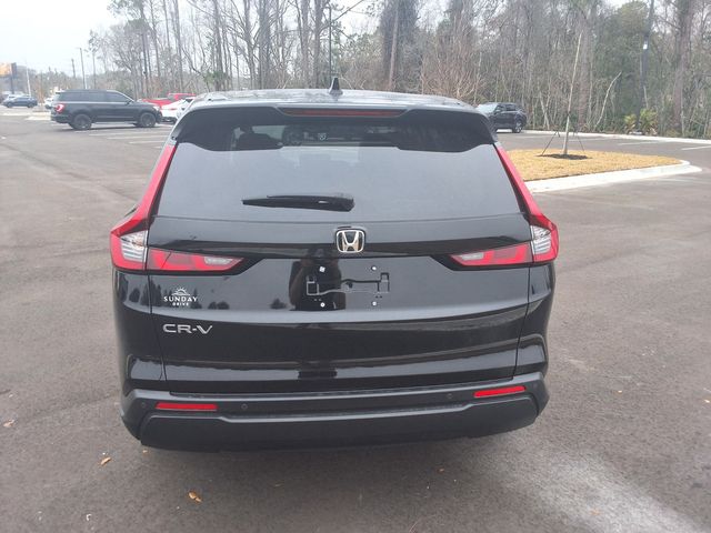 2025 Honda CR-V EX-L - 22988015 - 9