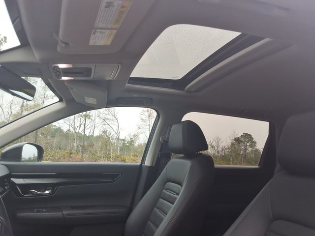 2025 Honda CR-V EX-L - 22988015 - 6