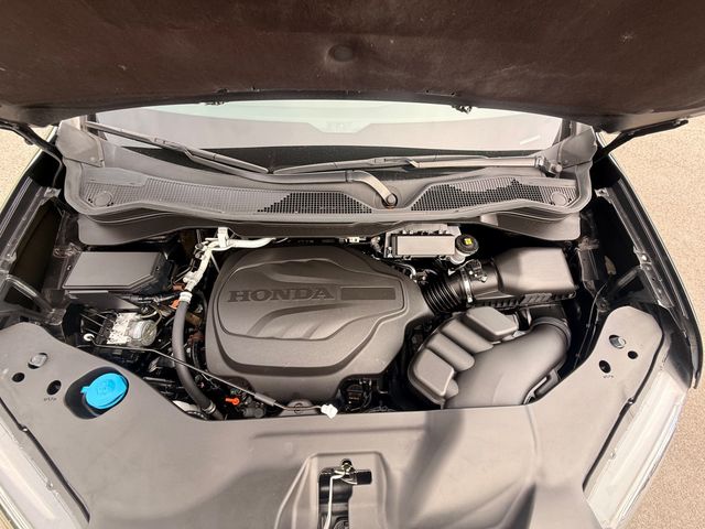 2025 Honda Passport EX-L AWD - 23080097 - 22