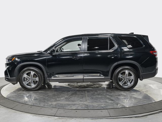 2025 Honda Pilot EX-L - 23096930 - 1
