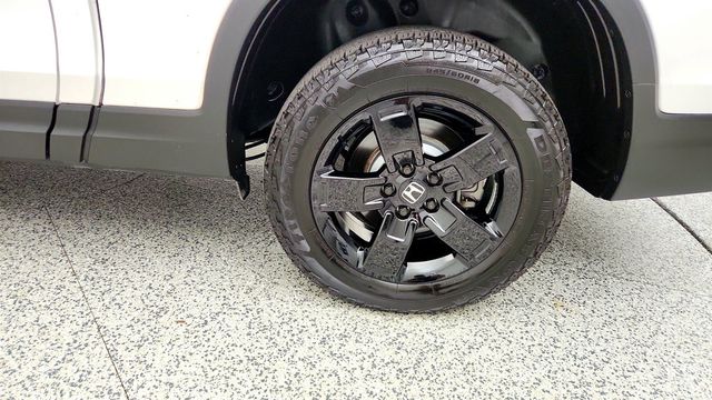 2025 Honda Ridgeline Black Edition AWD - 23075673 - 8
