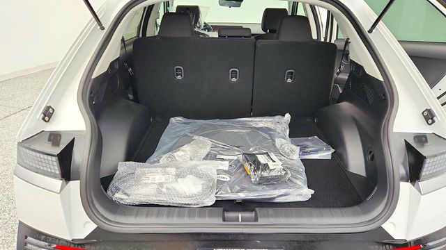 2025 Hyundai IONIQ 5 SE AWD - 22965189 - 19