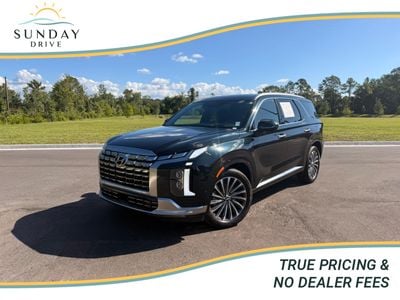 2025 Hyundai Palisade - KM8R74GE6SU891110
