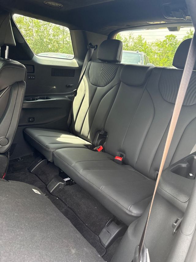 2025 HYUNDAI PALISADE CALLIGRAPHY - 23023185 - 3