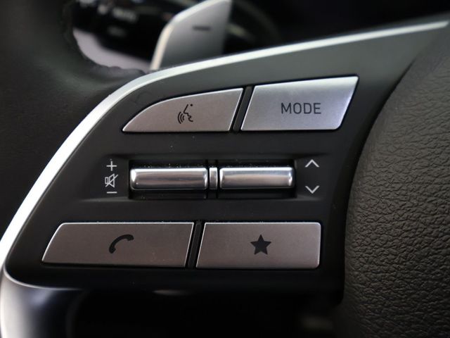 2025 Hyundai Palisade Calligraphy AWD - 22933861 - 52