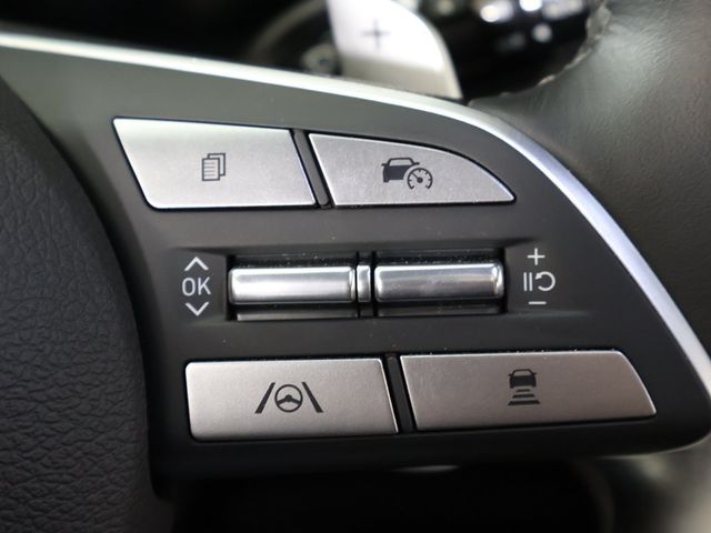 2025 Hyundai Palisade Calligraphy AWD - 22933861 - 53