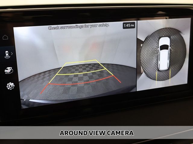 2025 Hyundai Palisade Calligraphy AWD - 22933861 - 7