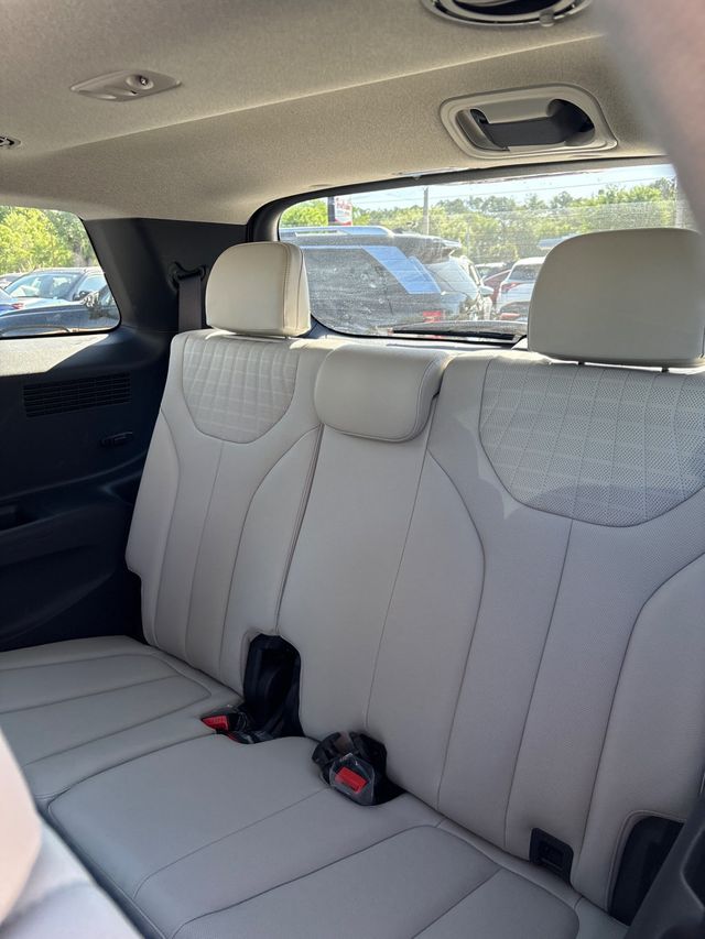 2025 HYUNDAI PALISADE LIMITED - 23014199 - 3