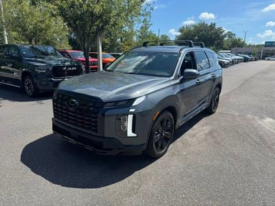 2025 Hyundai Palisade - KM8R34GE1SU839654