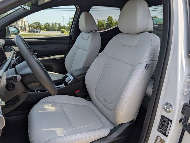 2025 Hyundai Santa Cruz SEL - 23049669 - 13