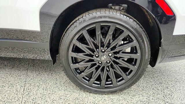 2025 Hyundai Santa Fe Calligraphy AWD - 23093309 - 8