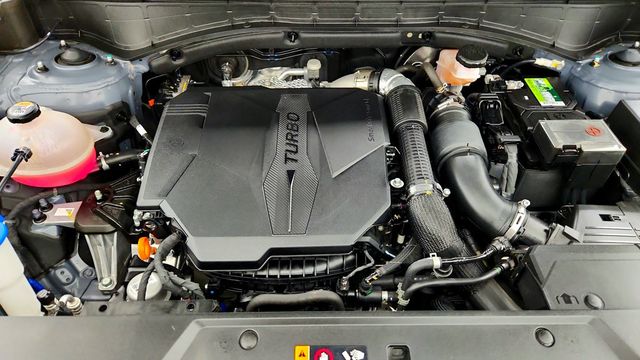 2025 Hyundai Santa Fe Calligraphy AWD - 23094496 - 26
