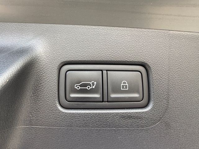 2025 Hyundai Santa Fe Hybrid Calligraphy - 23073212 - 37