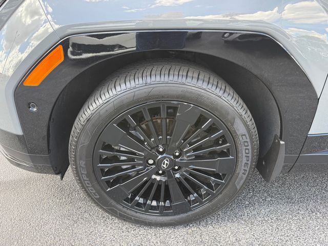 2025 Hyundai Santa Fe Hybrid Calligraphy - 23073212 - 50