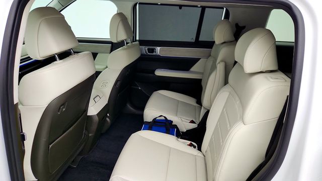 2025 Hyundai Santa Fe Hybrid Calligraphy AWD - 23012581 - 20