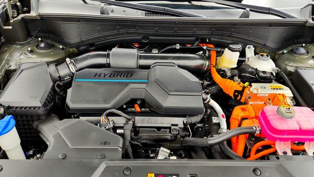 2025 Hyundai Santa Fe Hybrid Calligraphy AWD - 23065348 - 25
