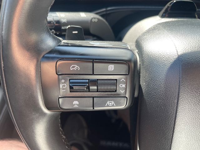 2025 HYUNDAI SANTA FE HYBRID CALLIGRAPHY HYBRID - 23096149 - 16