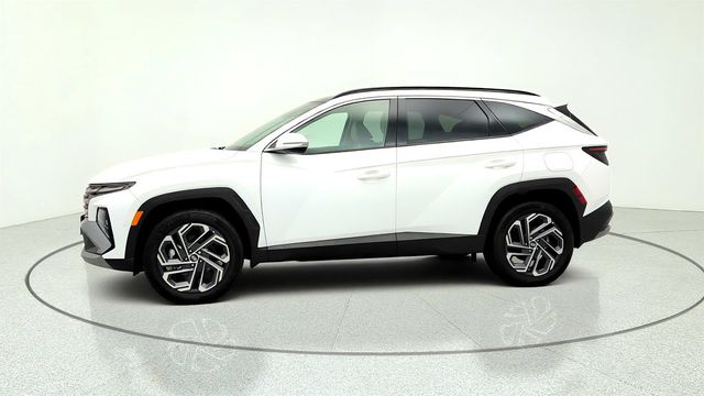 2025 Hyundai Tucson Hybrid Limited AWD - 23028908 - 7