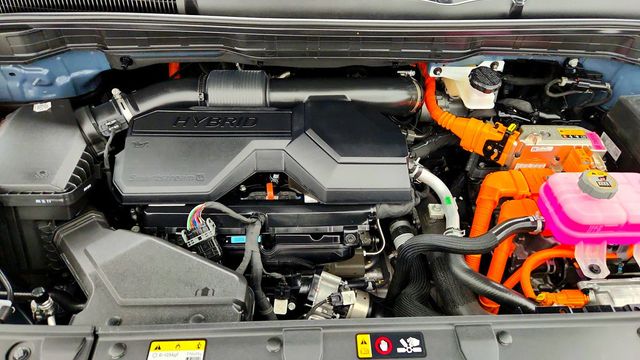 2025 Kia Carnival Hybrid SX FWD Dark Edition w/ Rear Seat Entertainment & Tow Hitch - 23089843 - 29