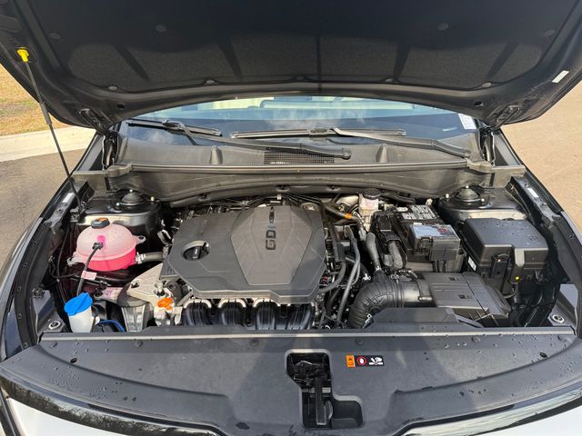 2025 Kia Sportage EX - 22988063 - 12