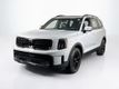 2025 Kia Telluride SX-Prestige X-Pro - 23056880 - 0