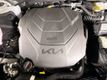 2025 Kia Telluride SX-Prestige X-Pro - 23056880 - 21