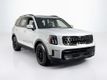2025 Kia Telluride SX-Prestige X-Pro - 23056880 - 6