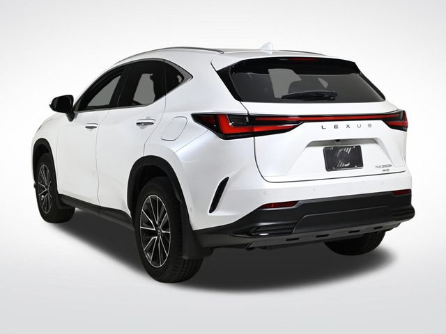 2025 Lexus NX 350h Luxury - 22944305 - 2