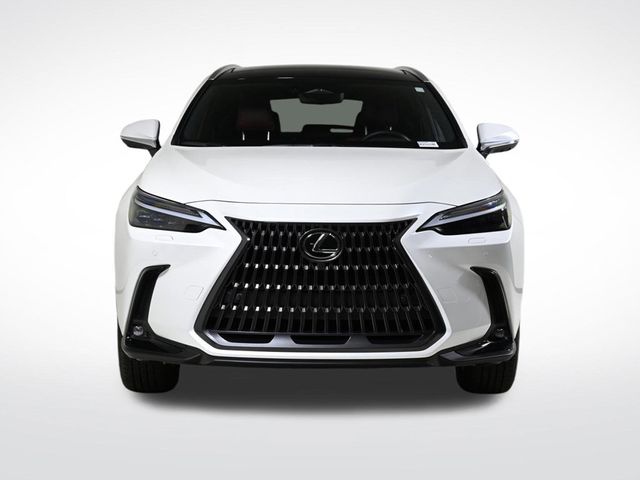 2025 Lexus NX 350h Luxury - 22944305 - 3