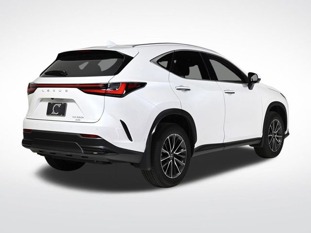 2025 Lexus NX 350h Luxury - 22944305 - 4