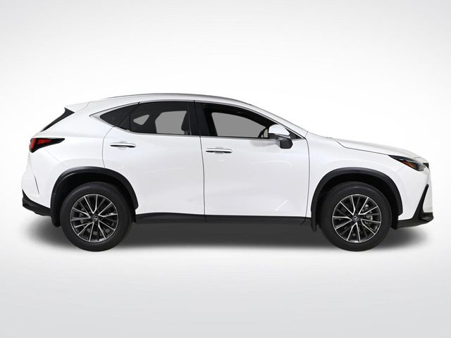 2025 Lexus NX 350h Luxury - 22944305 - 5