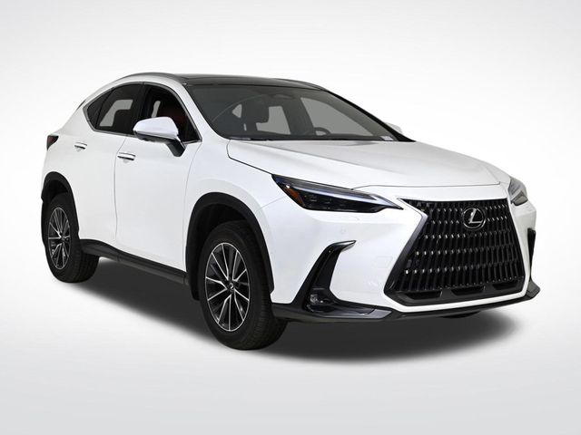 2025 Lexus NX 350h Luxury - 22944305 - 6