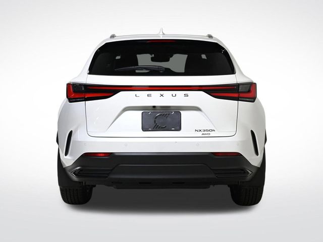 2025 Lexus NX 350h Luxury - 22944305 - 7