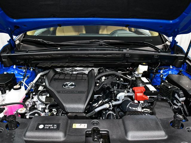 2025 Lexus NX 350 Premium - 23035224 - 64