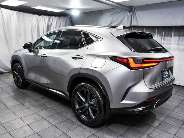 2025 Lexus NX 450h Luxury - 23006532 - 3
