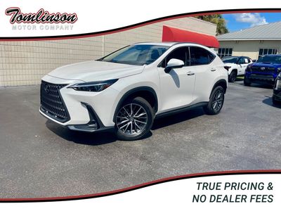 2025 LEXUS NX