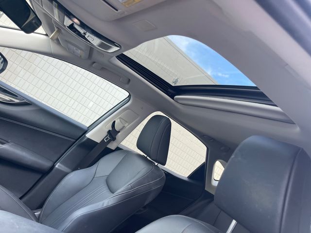 2025 LEXUS NX AWD NX 350H - 23081154 - 20