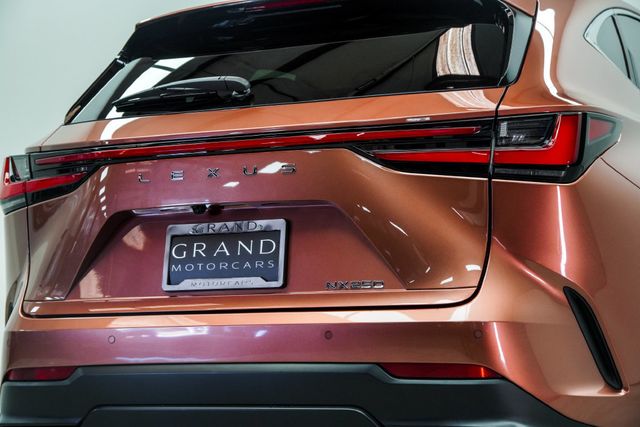 2025 Lexus NX NX 250 FWD - 23100142 - 11