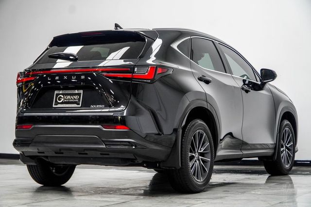 2025 Lexus NX NX 250 FWD - 23057386 - 12