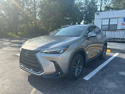 2025 Lexus NX - 2T2ADCAZ4SC024538