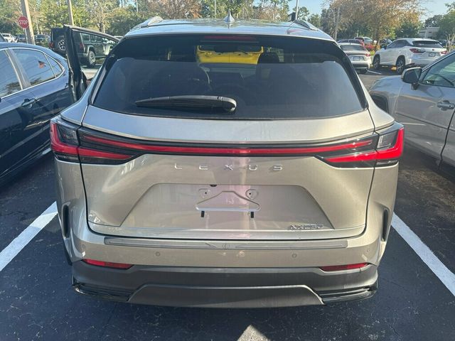 2025 Lexus NX NX 250 FWD - 23066262 - 14